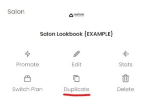 Salon lookbook example.