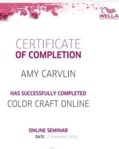 Amy Carlin's certificate of completion for Hairtastic online.